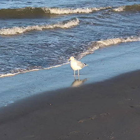 Bernstein - Nr. 4 Apartman Dierhagen